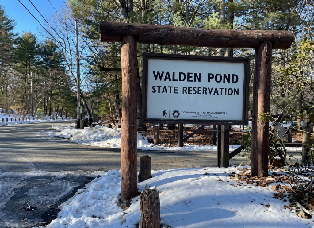 Birding by Ear