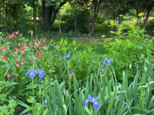 A beautiful Concord garden