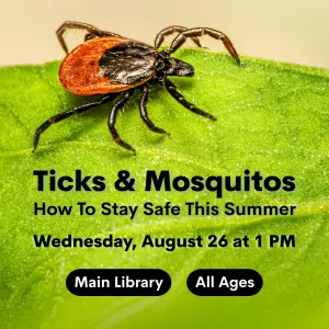 Ticks & Mosquitos - How To Stay Safe This Summer