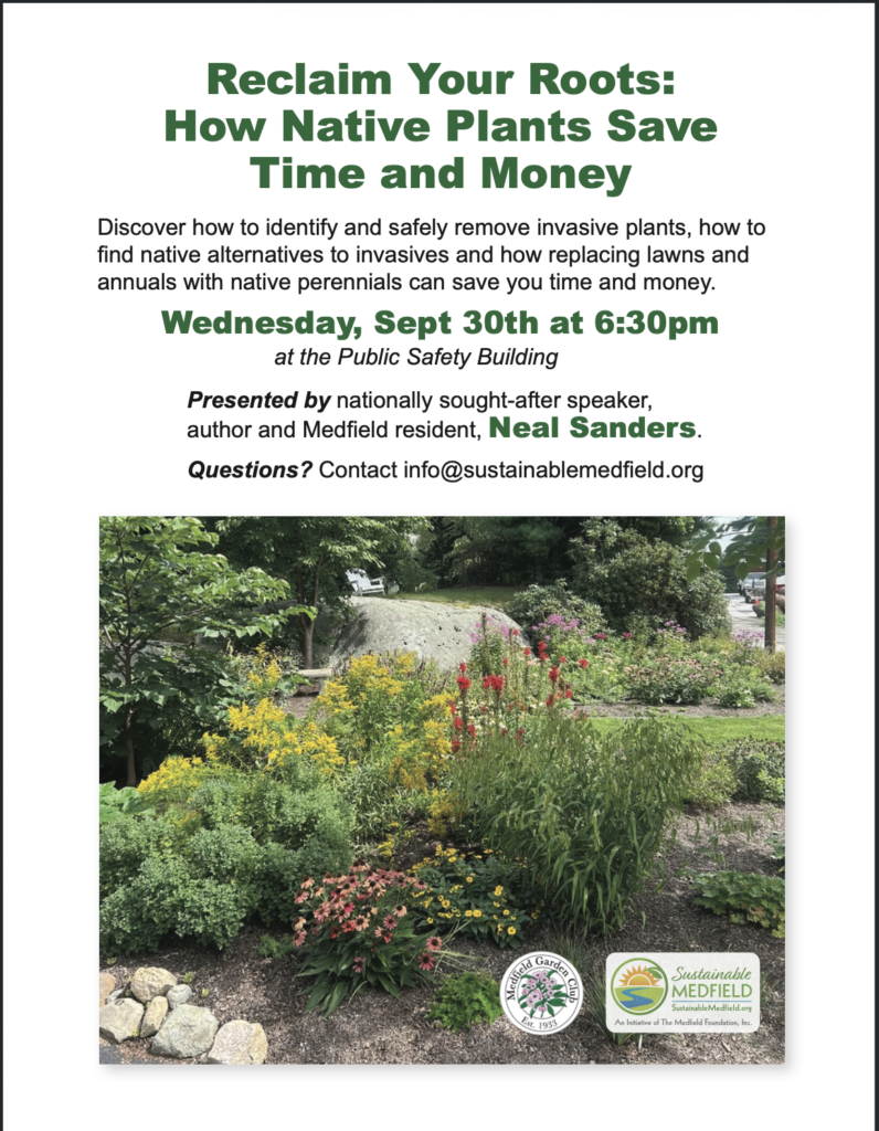 Reclaim your Roots: How Native Plants save Time and Money <span class="mmes-shared-tag">Shared From Sustainable Medfield</span>